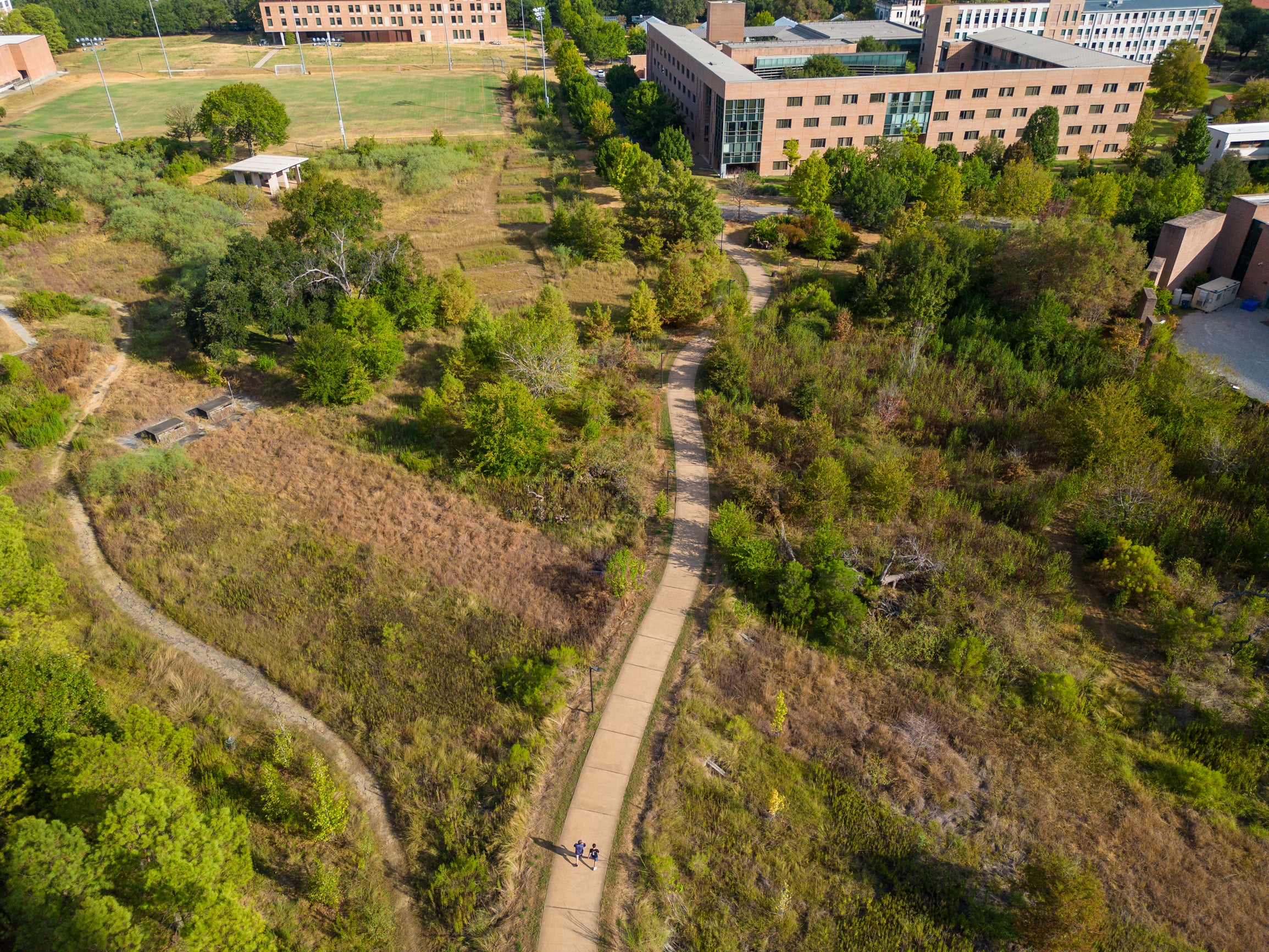 Aerial view of a winding paved pathway cutting through a grassy and wooded area on a university campus. The path is surrounded by dense green vegetation and open patches of dry grass. Two people are walking along the path near the bottom of the image. In the background, several large brick and modern buildings are visible, along with a sports field and light poles. The scene shows a mix of natural landscape and developed campus infrastructure under bright daylight.