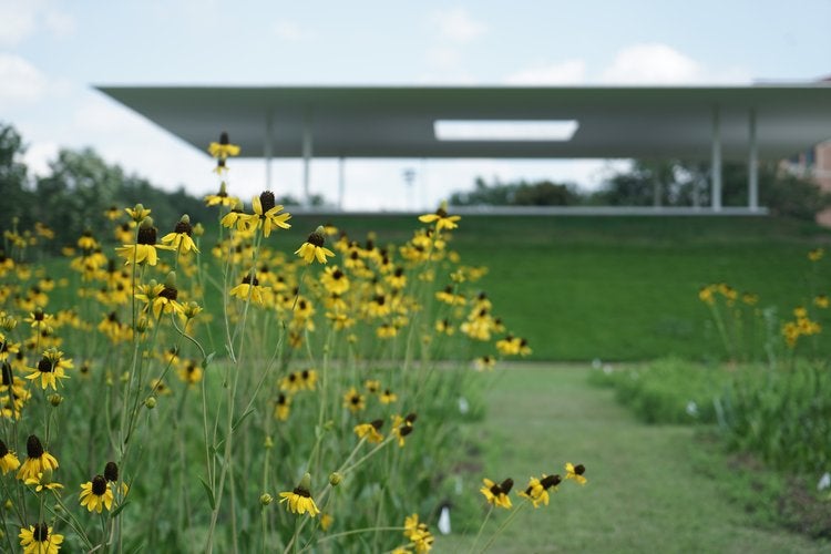 Prairie Plots